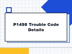 P1495 Error Explanation and Details